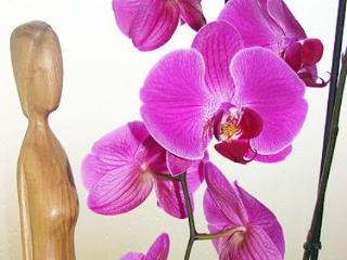 General view
General view
di Apartments In Trogir