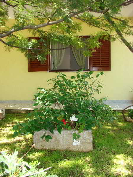 General view
General view
di Apartments In Trogir