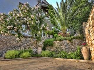 General view
General view
di Jees Exclusive Apartments