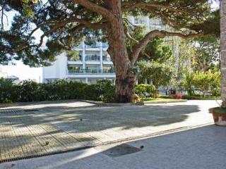 General view
General view
di Casa Shantiniketan