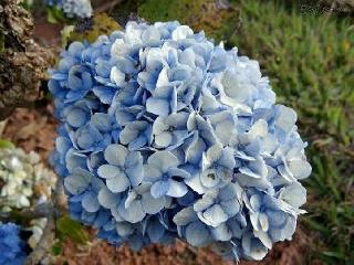 General view
General view
di Residencial Sete Cidades