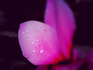 General view
General view
di La Casa Di Plinio