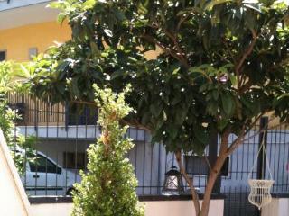 General view
General view
di La Casa Di Plinio