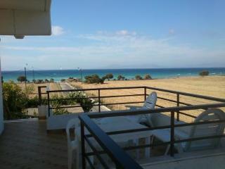 General view
General view
di Vasilios Studios