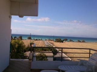 General view
General view
di Vasilios Studios