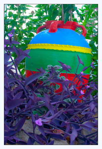 General view
General view
di Bella Vista Stegna