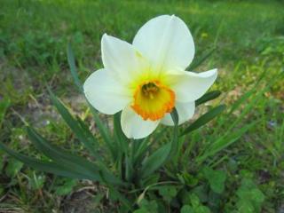 General view
General view
di Venice Treviso Airport Bed