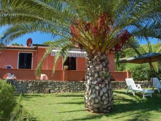 General view
General view
di Residence Villa Franca