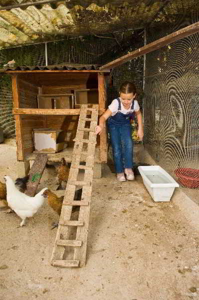 Sports and Entertainment
Sports and Entertainment
di Cámping el Solsonés