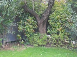 General view
General view
di B&B A Casa Di Manu