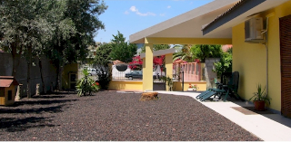 General view
General view
di B&B I Gerani