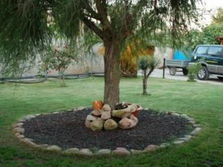 General view
General view
di B&B I Gerani