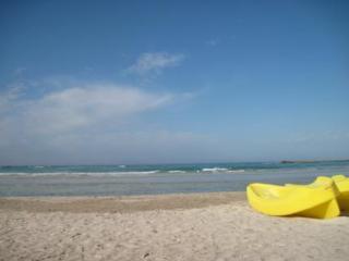 General view
General view
di Hyencos Hotel Callyon