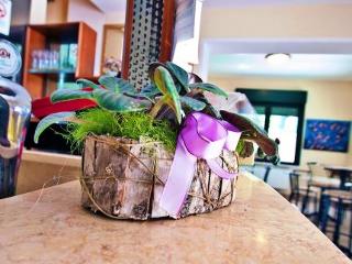 General view
General view
di Residence Bellavista