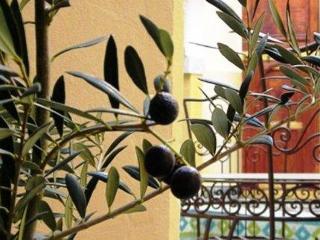 General view
General view
di Riad Zitouna