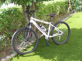 General view
General view
di Hotel Catalunya