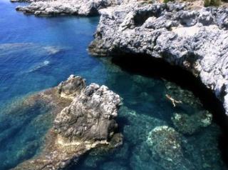 General view
General view
di Hotel Ristorante La Tana