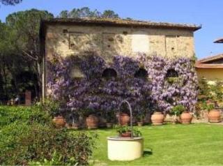 General view
General view
di Msnresort Fattoria Bacio