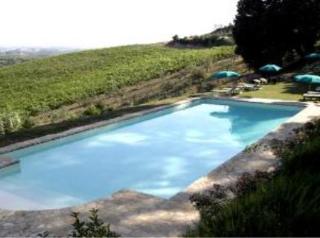 General view
General view
di Msnresort Fattoria Bacio