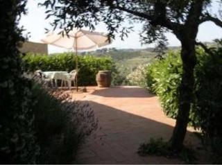 General view
General view
di Msnresort Fattoria Bacio