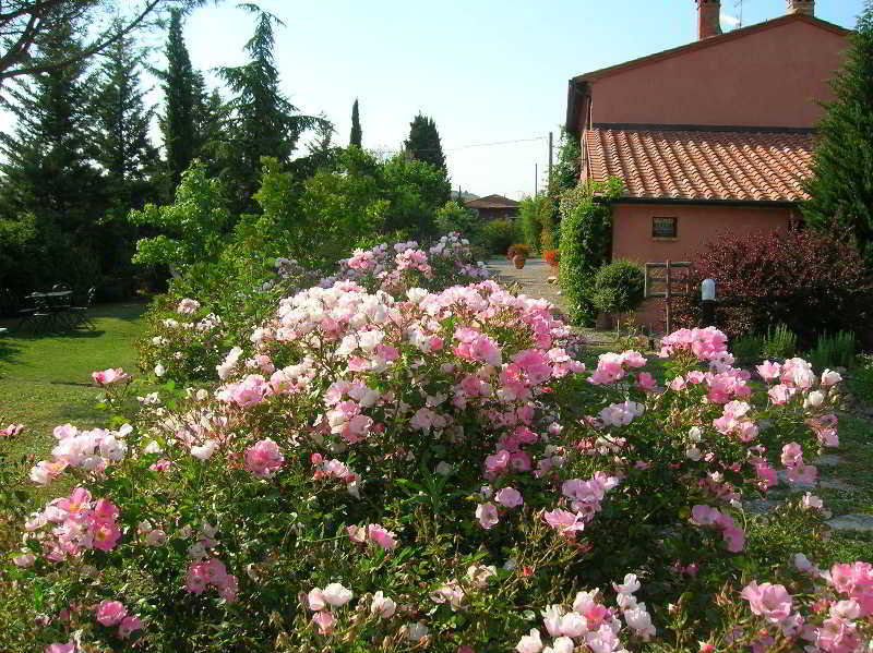General view
General view
di Agriturismo Sant'Alberto