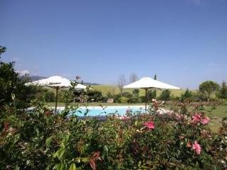 Sports and Entertainment
Sports and Entertainment
di Agriturismo Sant'Alberto