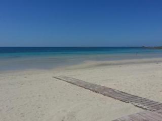 General view
General view
di Conchiglia Azzurra Resort & Spa