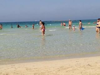 General view
General view
di Conchiglia Azzurra Resort & Spa