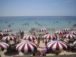 General view
General view
di Conchiglia Azzurra Resort & Spa