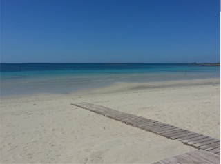 Beach
Beach
di Conchiglia Azzurra Resort & Spa