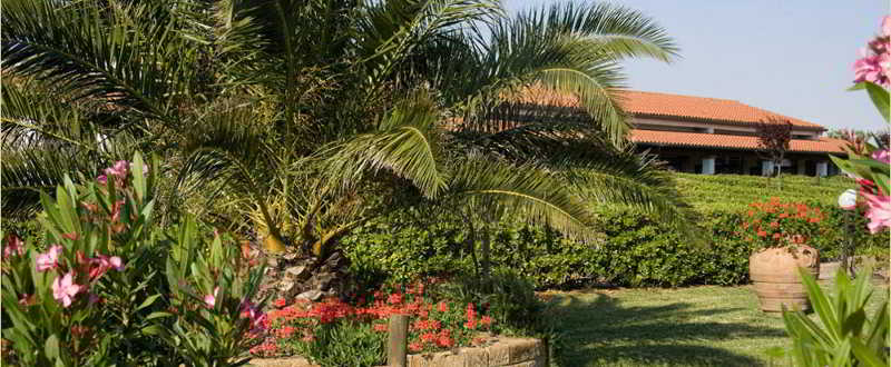 General view
General view
di Fattoria Maremmana