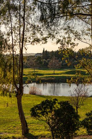 General view
General view
di Golf Resort & Hotel Il Pelagone
