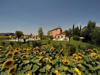 General view
General view
di Country House Casco Dellacqua