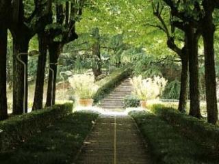 General view
General view
di Hotel Delle Terme