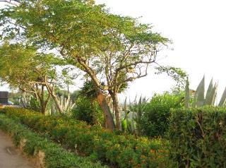 General view
General view
di Hotel Ristorante Laura