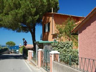 General view
General view
di Elbamar Procchio