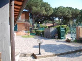 General view
General view
di Elbamar Procchio