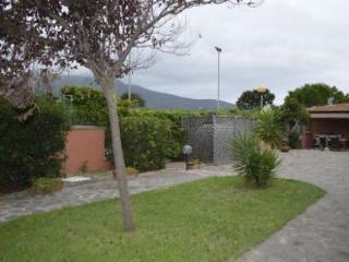 General view
General view
di Elbamar Procchio