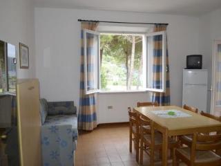 General view
General view
di Elbamar Procchio