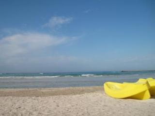 General view
General view
di Hyencos Hotel Calos