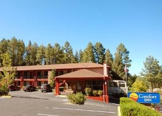 General view
 di Comfort Inn at Ponderosa Pines