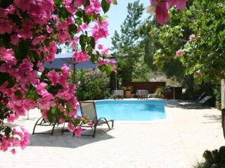 General view
General view
di Vasilias Nikoklis Inn Agrotourism