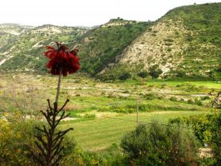 General view
General view
di Vasilias Nikoklis Inn Agrotourism