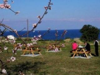 General view
General view
di Sinya G.H.