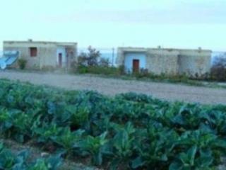 General view
General view
di Sinya G.H.