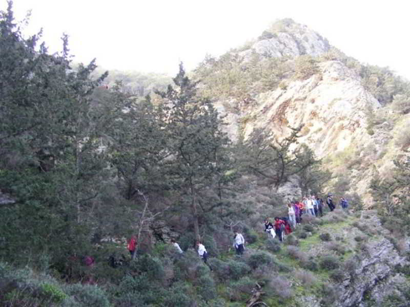 Sports and Entertainment
Sports and Entertainment
di Sinya G.H.