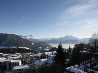 General view
General view
di Hotel Le Grand Chalet