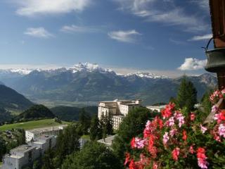 General view
General view
di Hotel Le Grand Chalet
