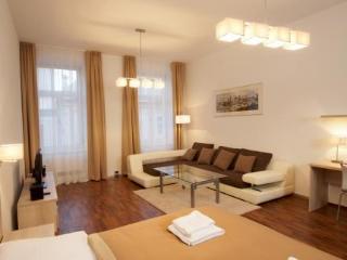 General view
General view
di Residence U Cerne veze