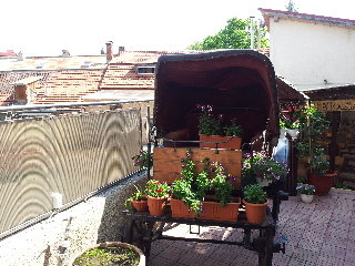 General view
General view
di Apollonia Hotel